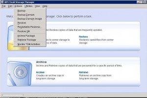 ibm tivoli storage manager restore vm